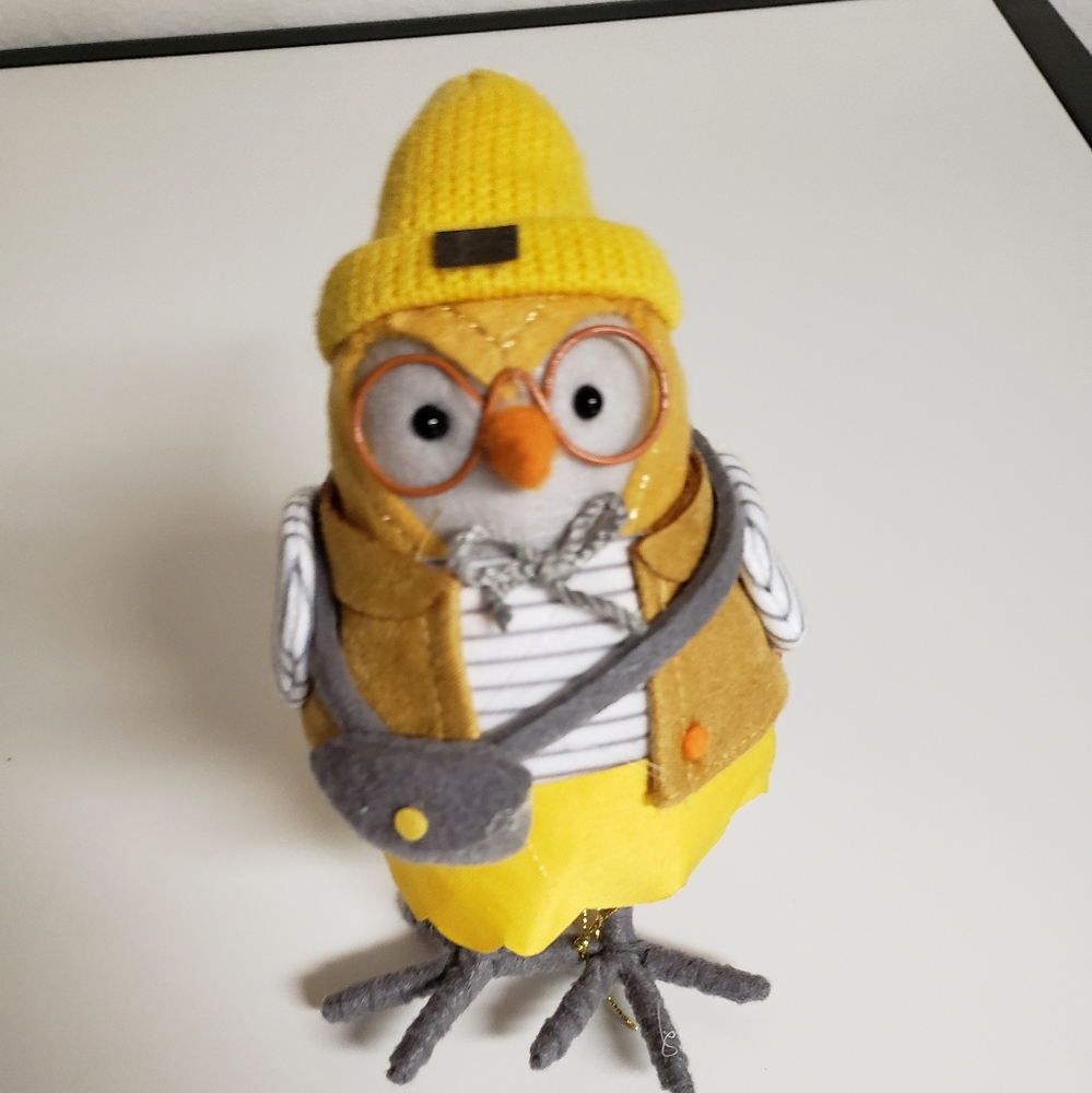 Target Fall 2023 Bird “Apple” Hyde and Eek Halloween New